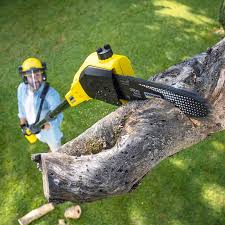 Best Artificial Turf Installation  in Packanack Lake, NJ