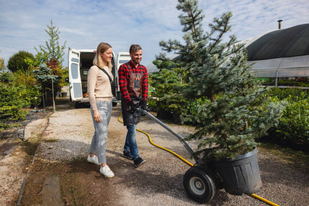 Best Firewood Processing and Delivery  in Packanack Lake, NJ